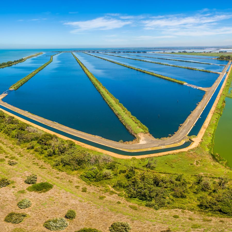 Municipal Water Monitoring